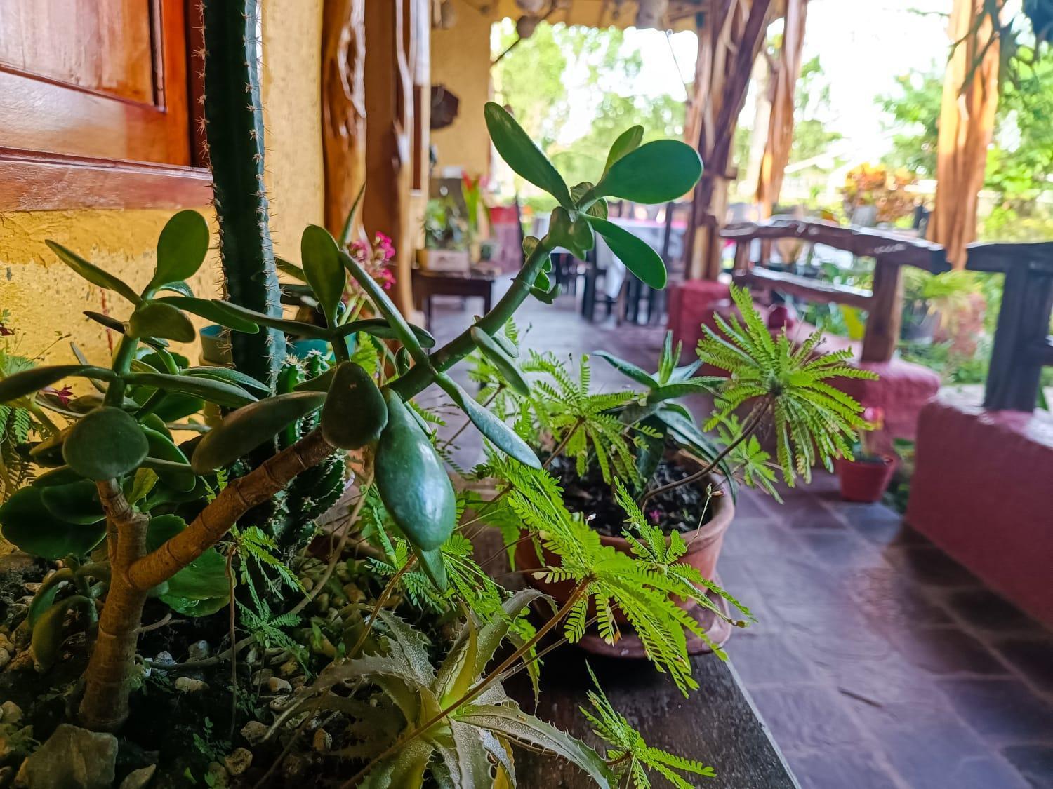 Hotel Del Campo Quimbaya Zewnętrze zdjęcie